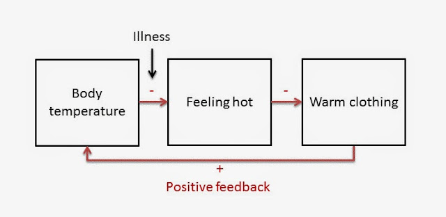 Same diagram as previous but with the first arrow from "body temperature" to "feeling hot" labeled "Illness" and sign changed from positive to negative; return arrow from "clothing" to "body temperature" is now labeled "positive feedback"