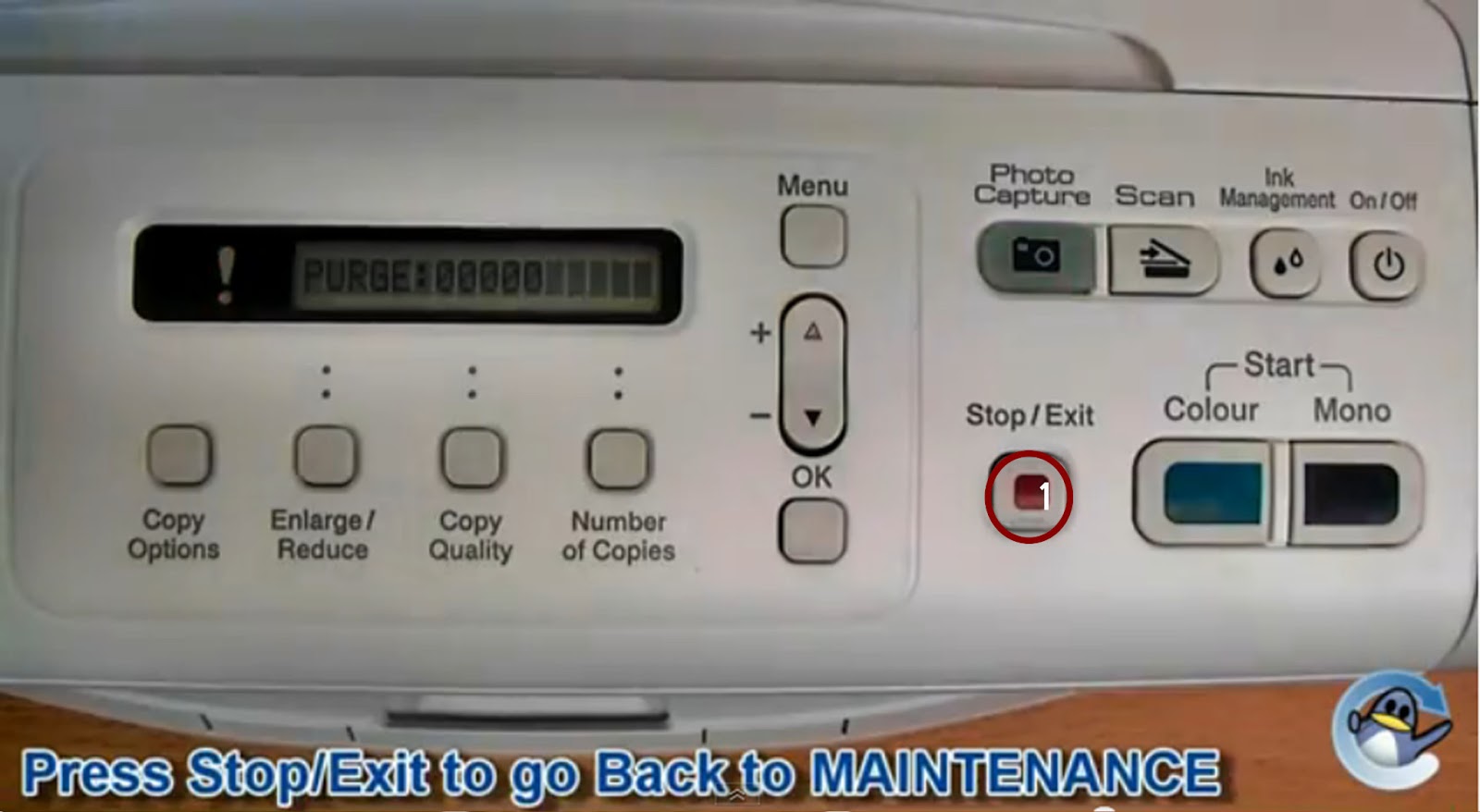 learn n learn Cara Reset Printer Brother DCP195C "Unable Clean 50"