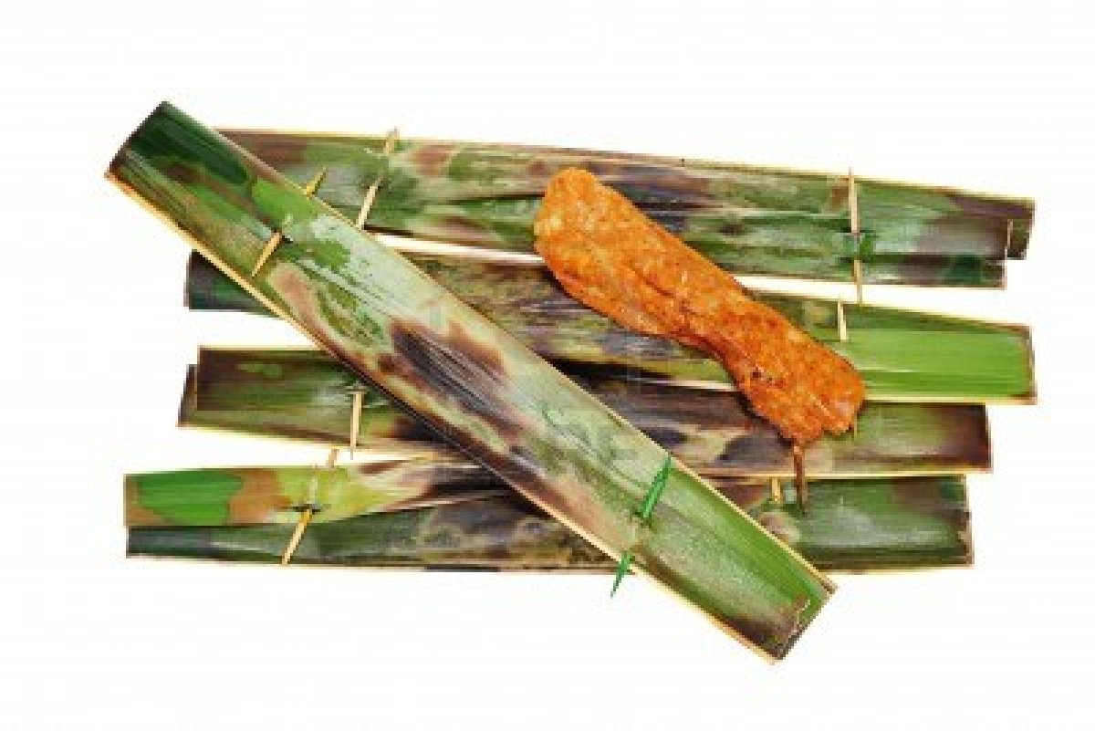 JAS SALLEH REALITY BYTES THE 5 OTAKOTAK IN THE MAT BUNGA'S MAHATHIR