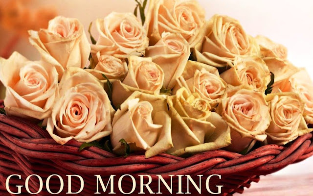 good morning flowers good morning flowers