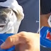 WATCH: Big Puffer Fish effortlessly bites a can of Pepsi