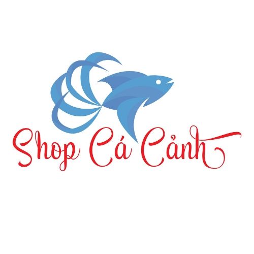 Shop Cá Cảnh HCM - Cửa Hàng Cá Cảnh Online Tại TP.HCM