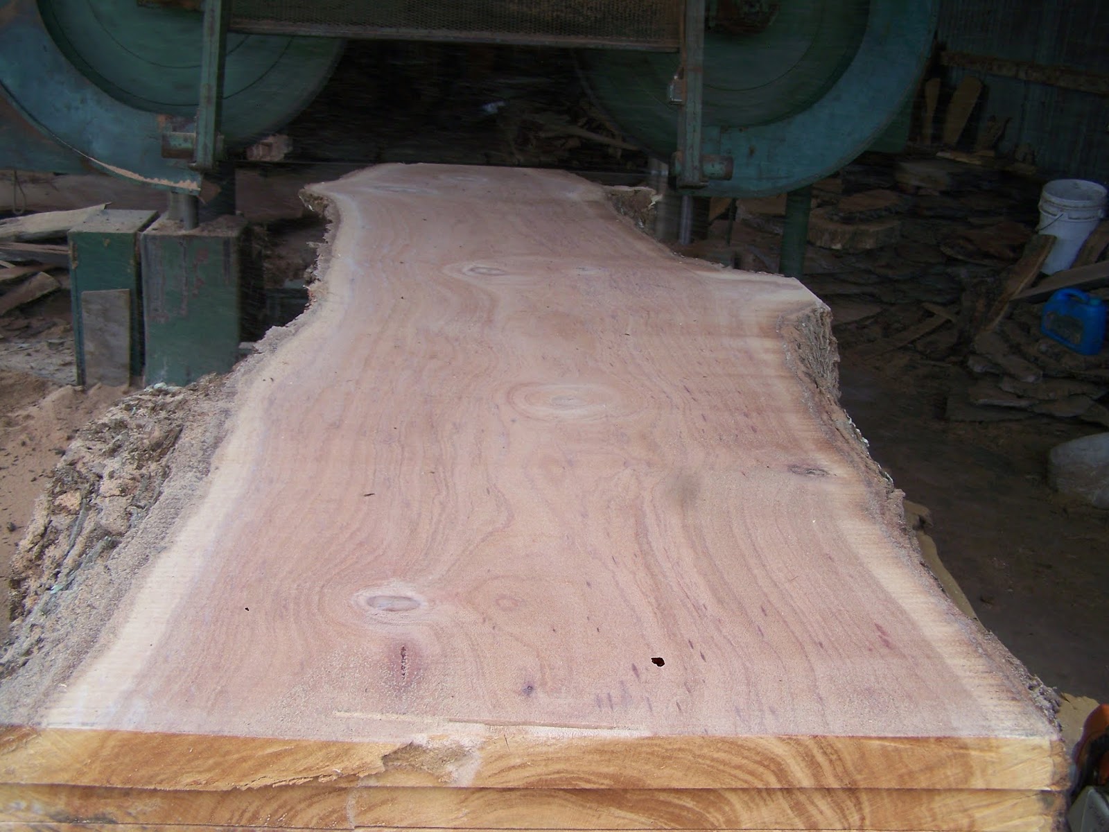Silky Oak Cross Cut 890mm Timber Slab， GNT2003