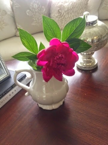 Delay Peony blooming for 4 Weeks!