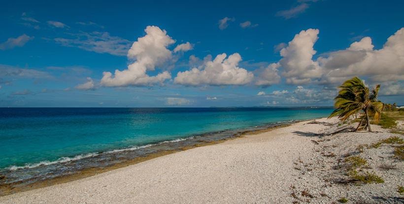 Pink Beach - praias de Bonaire Pink Beach - praias de Bonaire
