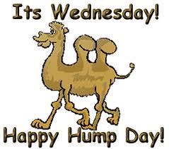 Good morning guess what day it is have a happy day pictures, photos JT IRREGULARS: 3/27/11 - 4/3/11