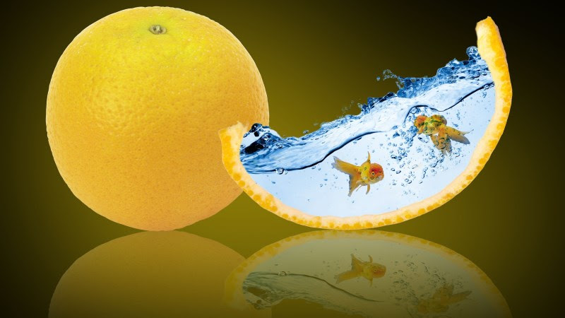 Digital Art with Oranges & Goldfish