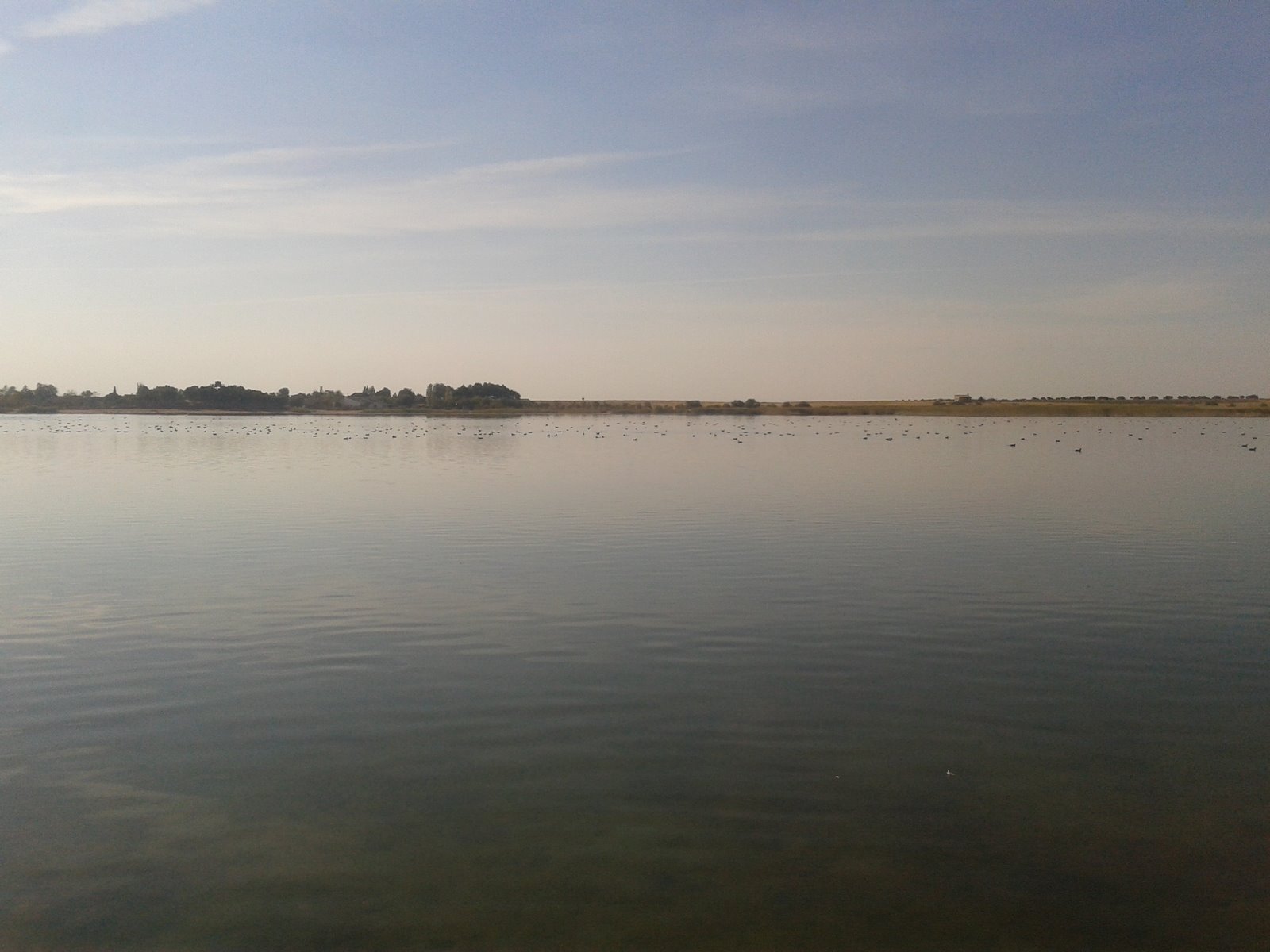 Lagunas de Villafranca de los Caballeros - LA NATURALEZA EN FOTOGRAFIAS ...