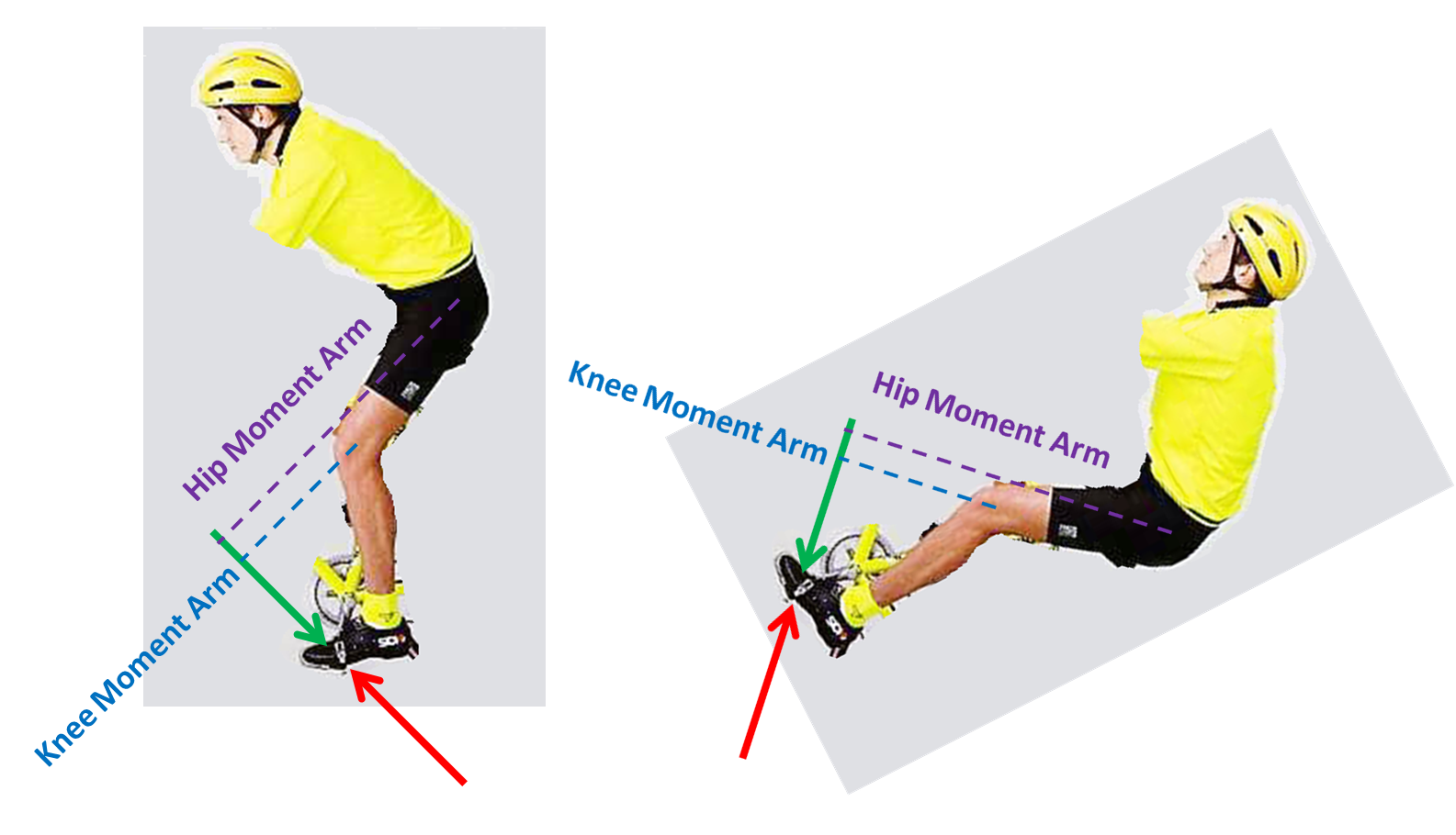 Biomechanics of Sport Why Upright and Recumbent Cycling should require