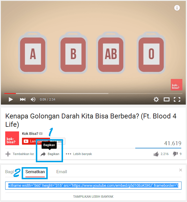 Panduan Dasar Cara Memasang Video YouTube Di Blog