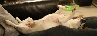 After playing, Louise has a kip After playing, Louise has a kip