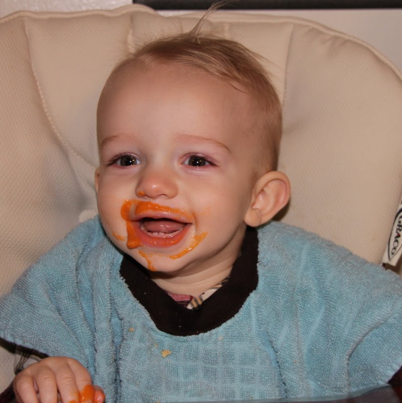 Days Like This: Homemade Baby Food: Sweet Potato
