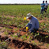 COM AULAS DE CAMPO NO PROJETO FORMOSO, CURSO DE MANEJO DE IRRIGAÇÃO ACONTECEU EM BOM JESUS DA LAPA, GRAÇAS A PARCERIA DE INSTITUTO COM A CODEVASF