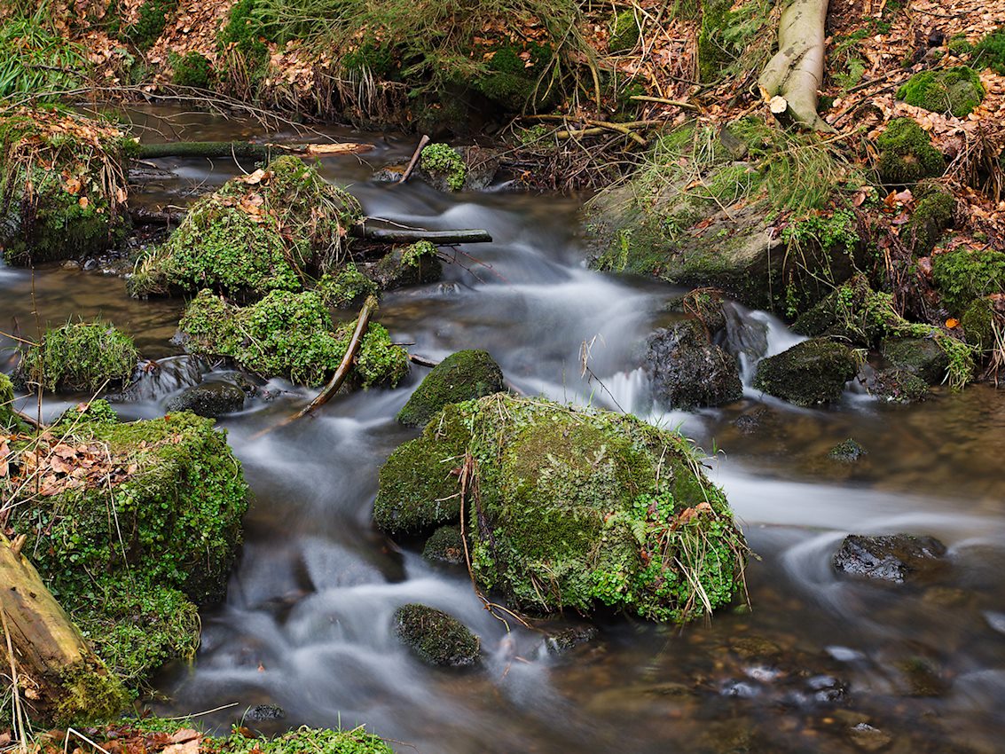Silberbachtal Wildes Wasser