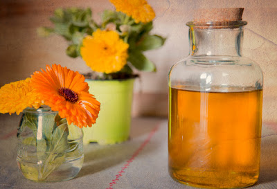  Cómo hacer aceite de calendula