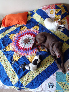puppies on Lone Star Quilt