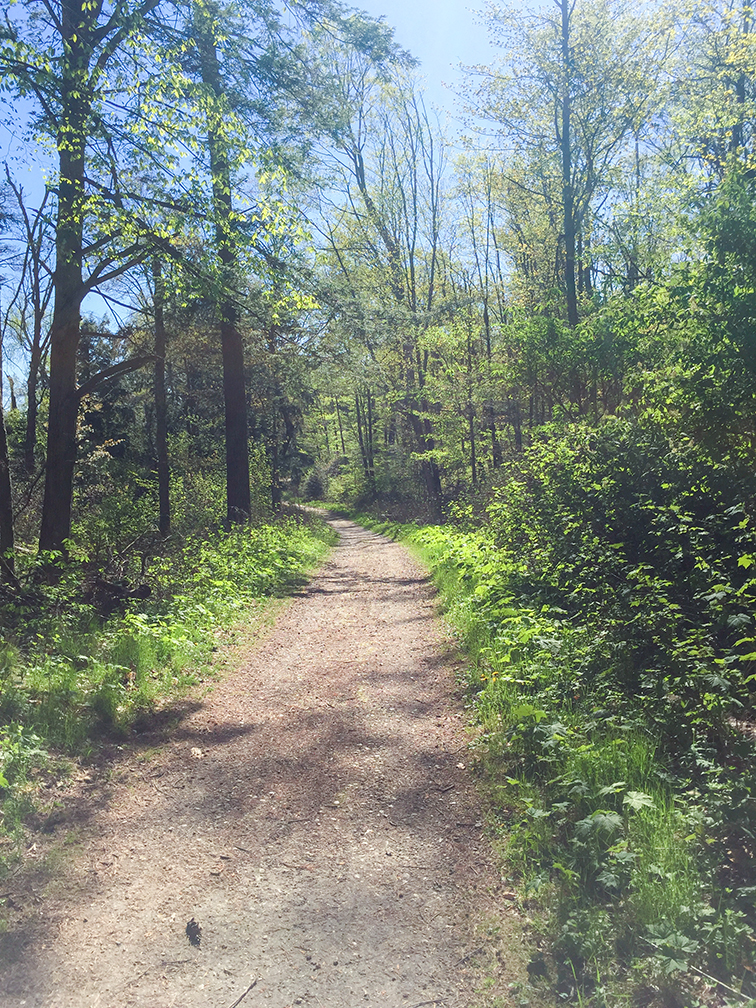 Red Trail at Whitefish Dunes State Park in Door County