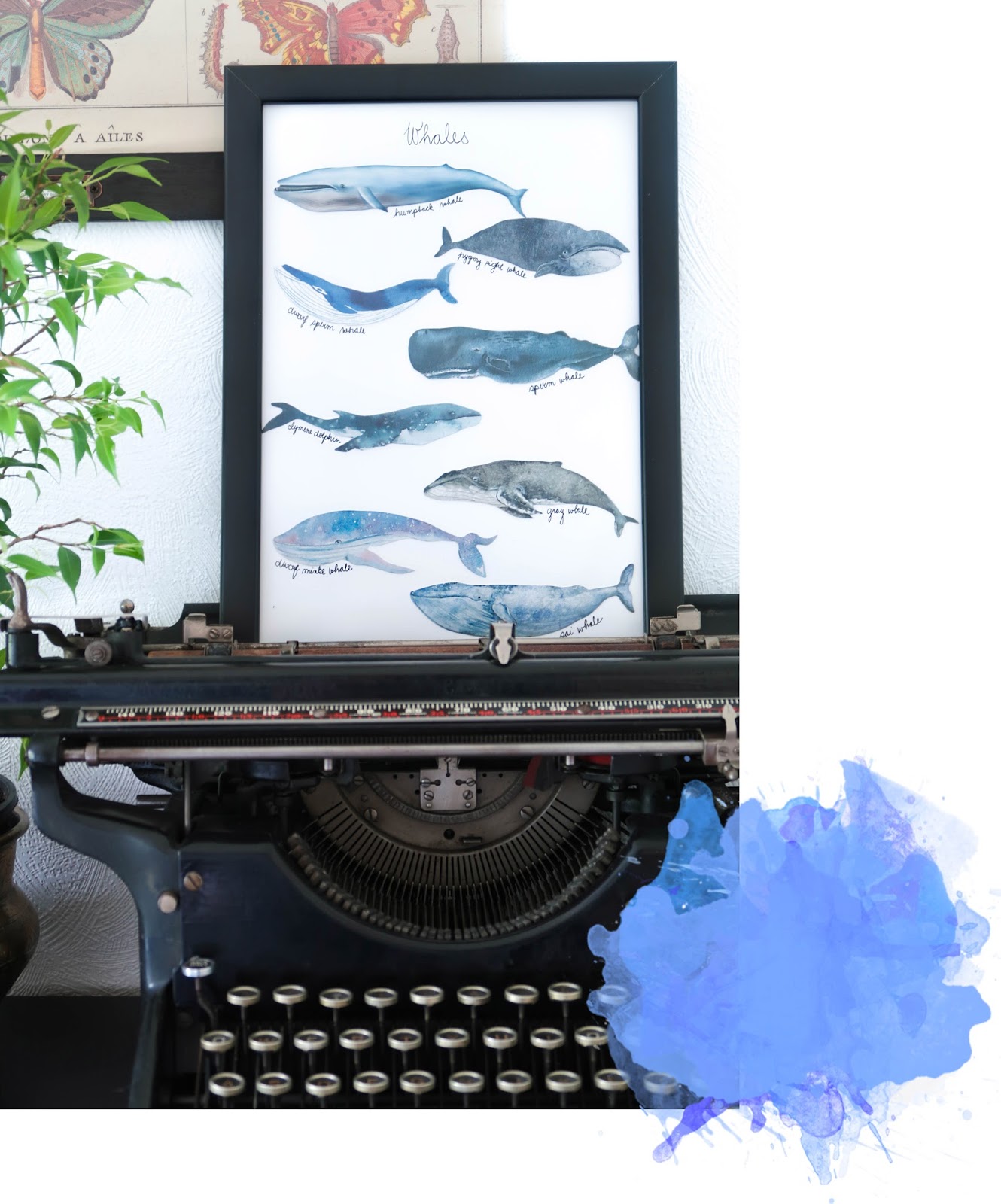 Easy 5 minute whale art for less than £1 Easy 5 minute whale art for less than £1