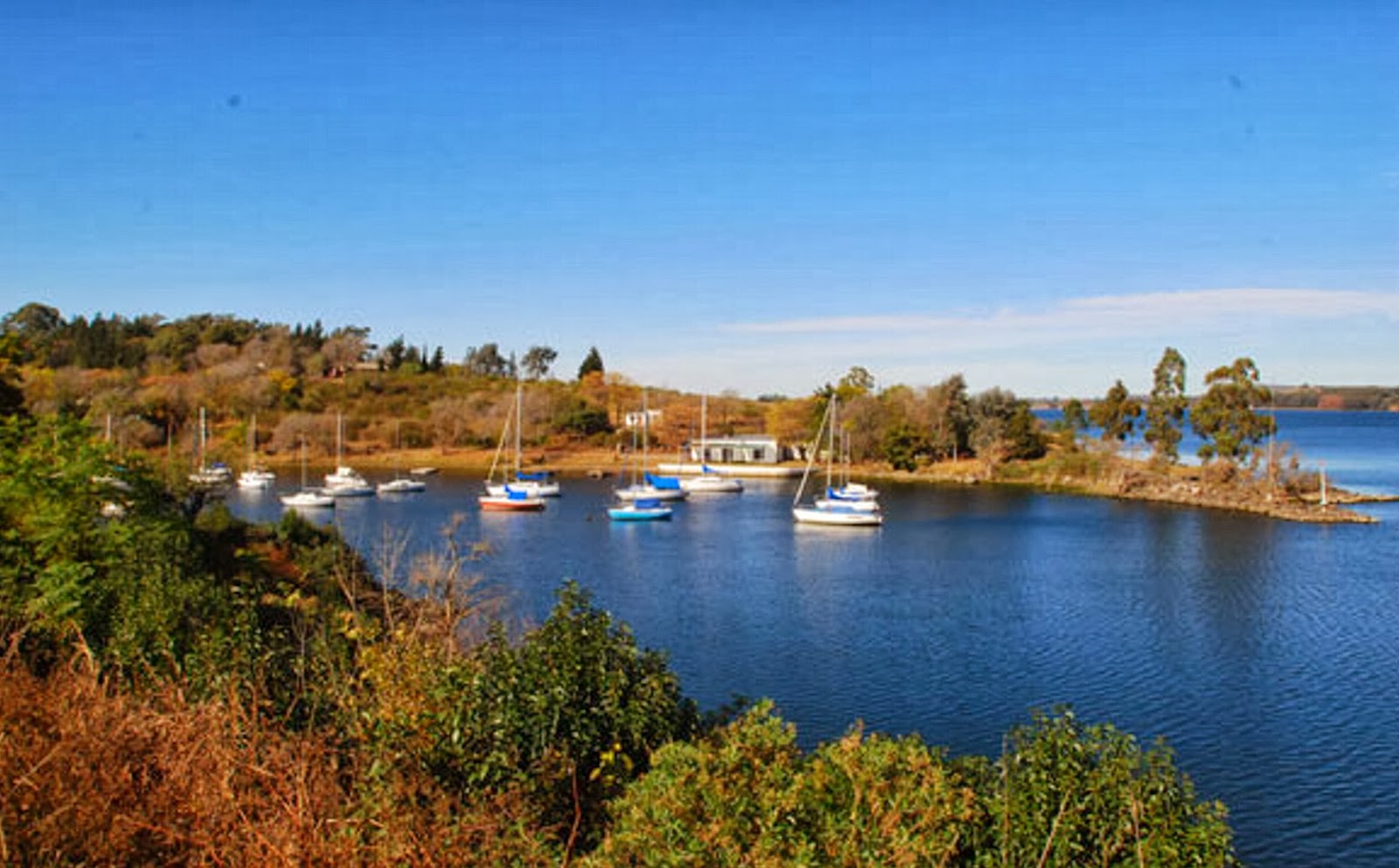 Ver más fotos Aquí