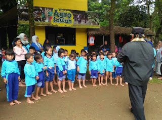 agro sawah paket agro sawah