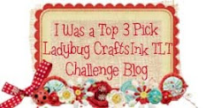 I was a Top 3 Pick in the Ladybug Crafts Birthday Challenge July 2013