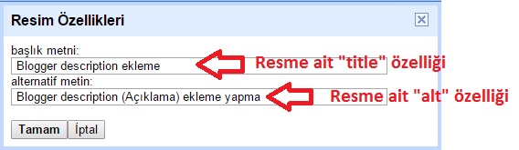 alt ve title kullanımı alt ve title kullanımı