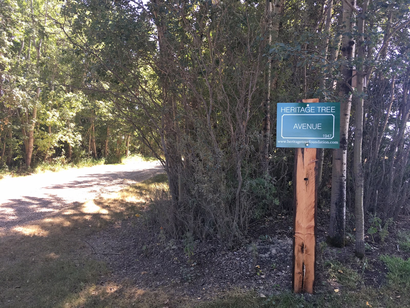 West of the 5th Heritage Trees Living Links to our History
