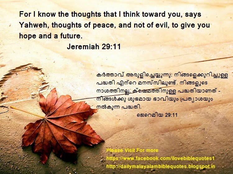 Onwijs Daily Malayalam Bible Quotes: Jeremiah 29:11 ജെറെമിയ 29:11 MS-62