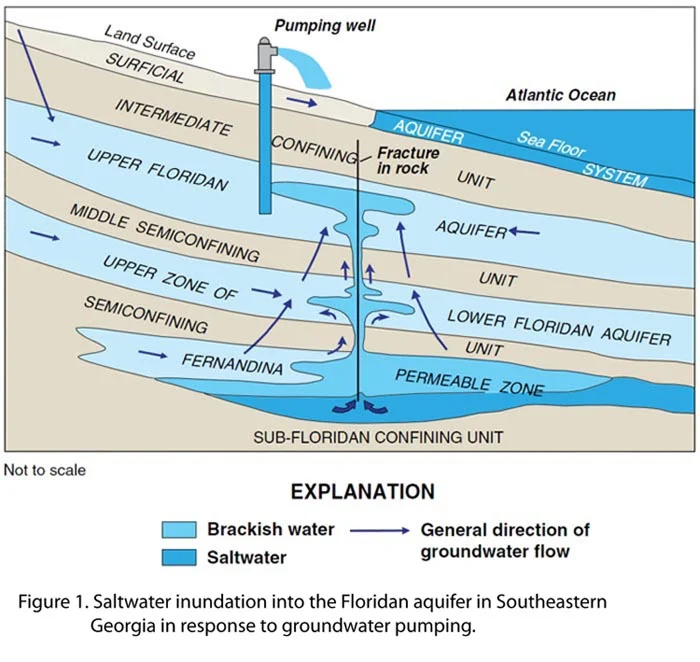 coastal spits, storm surge, coastal defense: The Complete Handbook