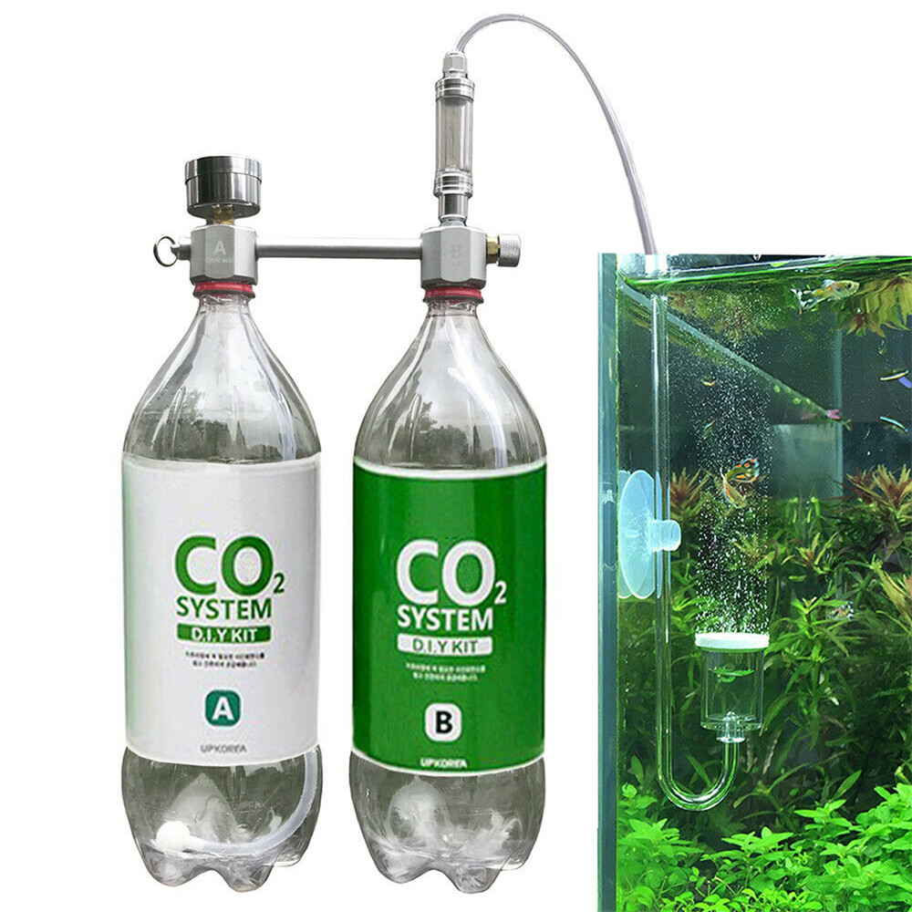 Cara Membuat CO2 DIY untuk Aquascape Ragul dan Cisod