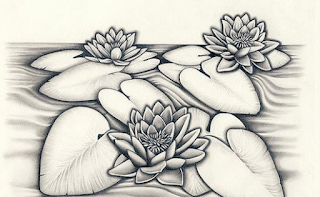 Mudahnya Belajar Menggambar Sketsa Bunga Teratai