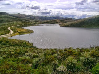 Parque Nacional PÁRAMO DE SUMAPAZ