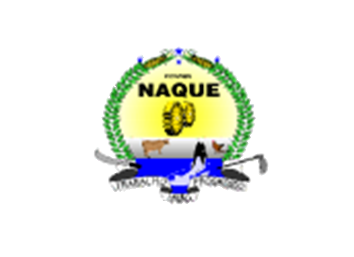 Agendamento INSS Naque - MG
