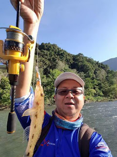 Teknik mancing masheer di sungai Aceh besar Teknik mancing masheer di sungai Aceh besar