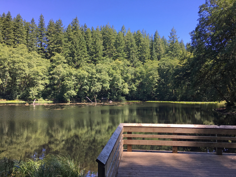 Cascade Ramblings Hebo Lake