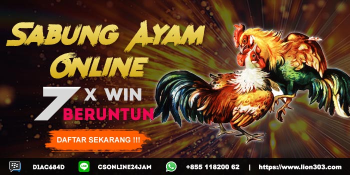 Promo Sabung Ayam Online