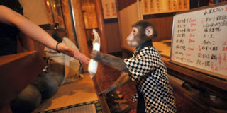 Restoran monyet, Jepang