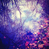 Samhain and Energy of Scopio