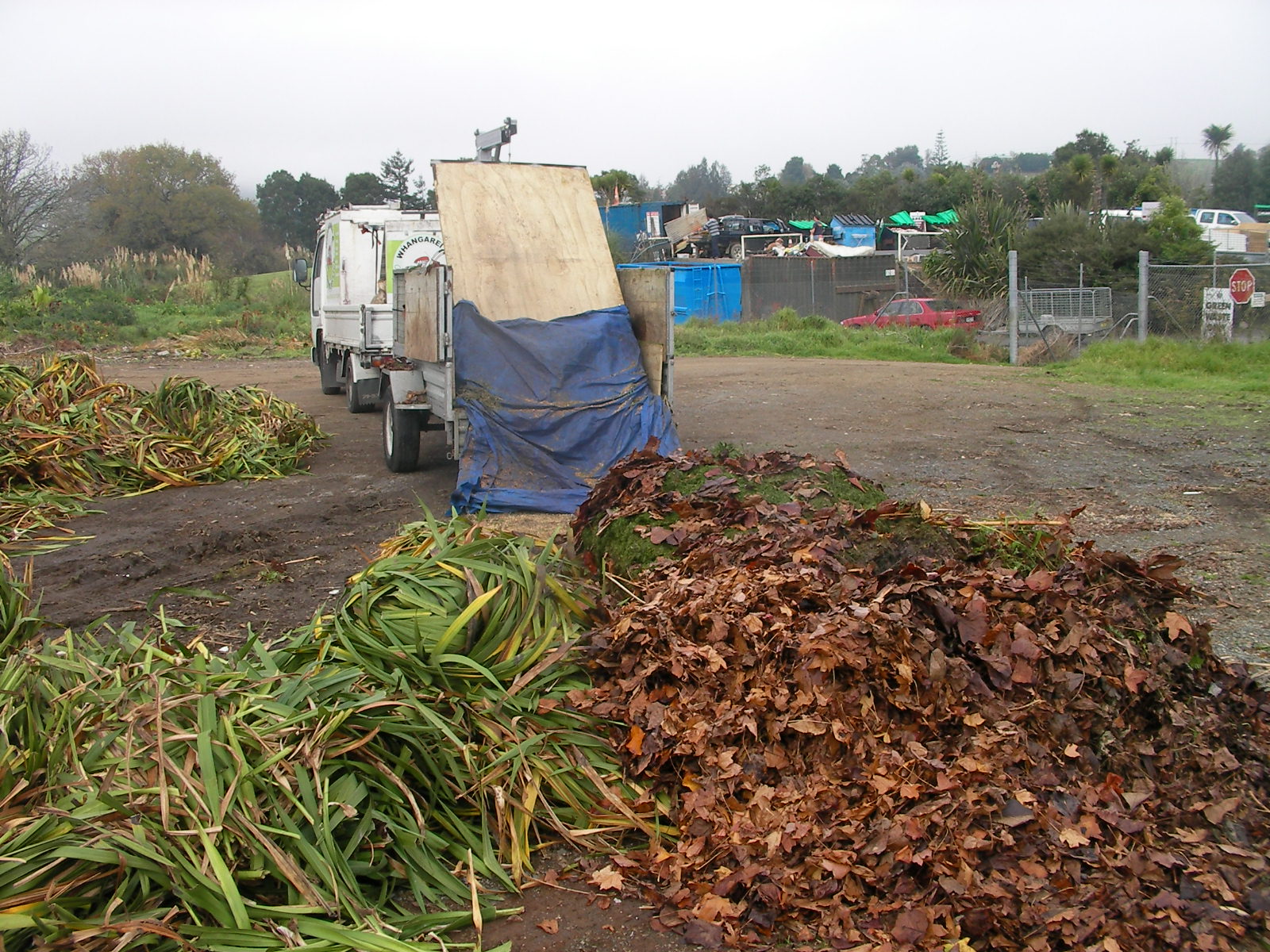 Rubbish Removal Whangarei PHOTOS