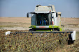 Claas Lexion 550 & Moresil GB 700 cuttebar