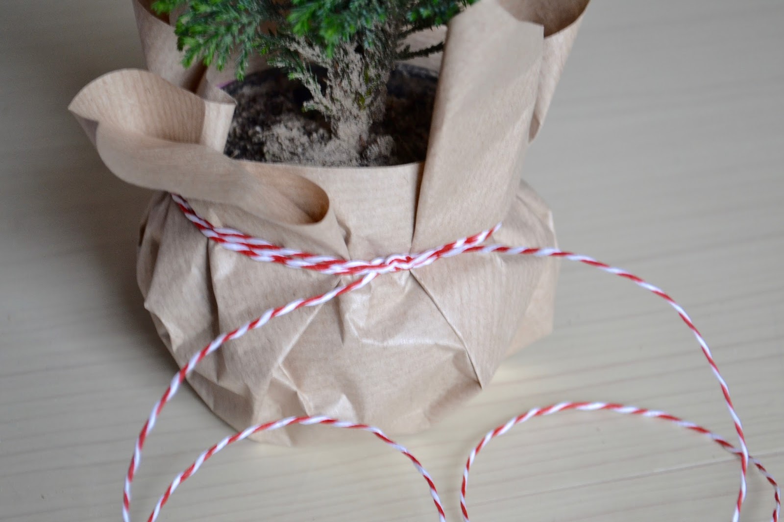 DIY Christmas Last Minute Plant Gift Wrap Idea The Things She Makes