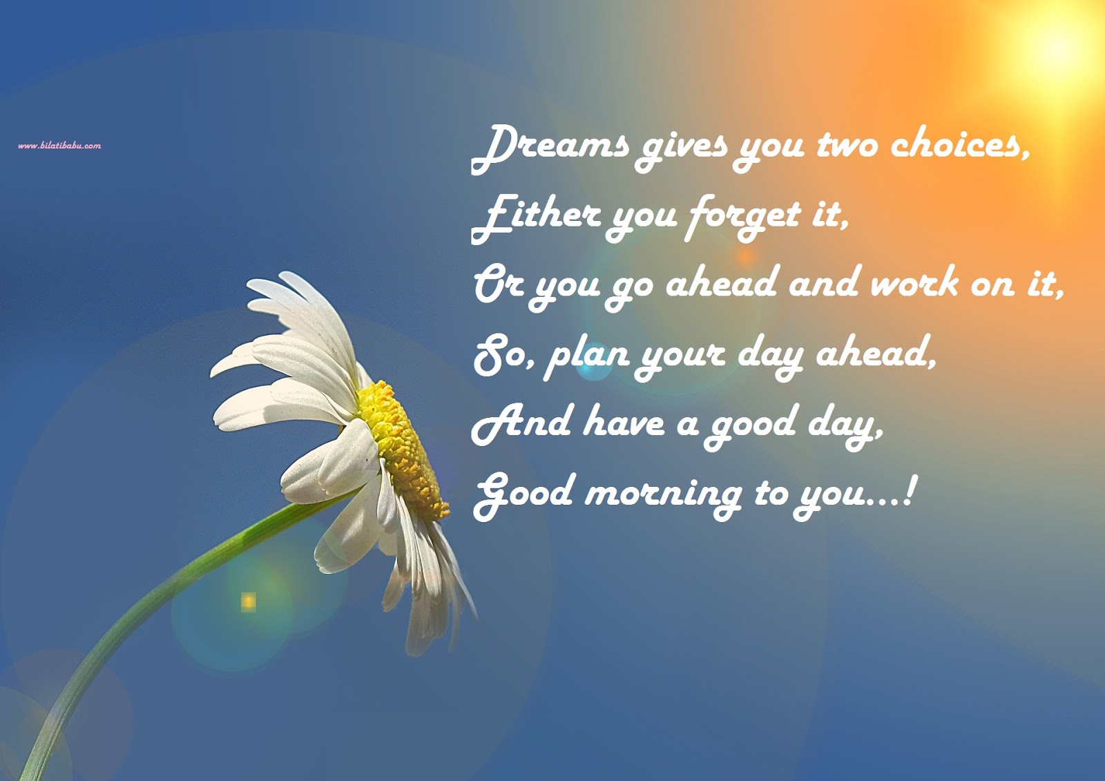 BilatiBabu Dreams give you two choices