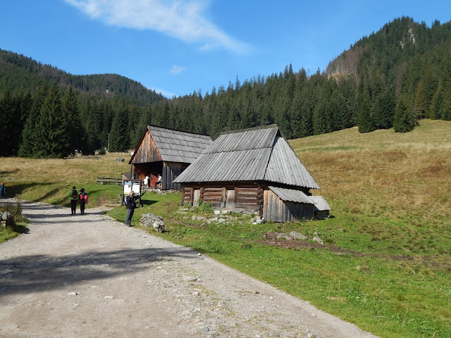 tatry trasy grześ