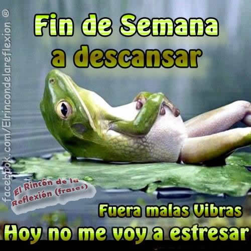 Resultado de imagen de buen finde grupo