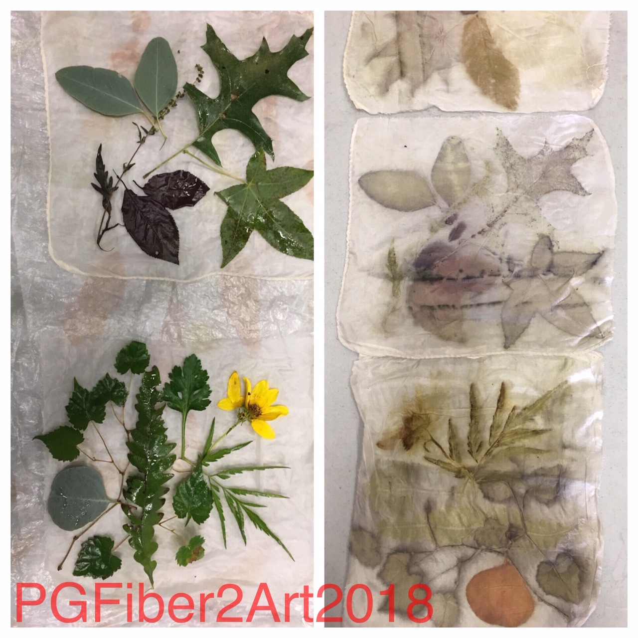 PG Fiber2Art Eco Dyeing