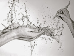 realistic drawings hyper water pencil drawing shanghai paul animals designstack watering hyperrealism