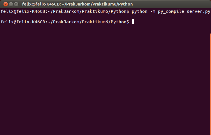 Felix Tanamas: Socket Programming in Python on Linux