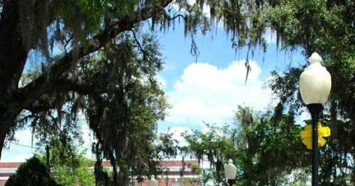 A1A Jobs Bank: Occupational Therapist (PRN) Hinesville GA