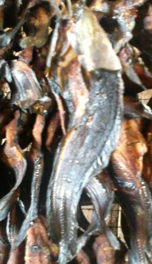 Daftar harga ikan salai online Terbaru Daftar harga ikan salai online Terbaru