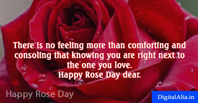 Rose Day 3D Wallpaper rose day images, rose day greeting cards, rose day wallpaper, rose day hd photos, rose day images download, rose day images for girlfriend, rose day quotes with images, rose day images for boyfriend, rose day images for wife, rose day images for husband, valentine week spacial images for crush